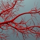 eecp angiogenesis