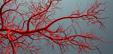 eecp angiogenesis