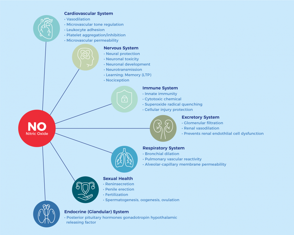 Nitric Oxide Ganban-Yoku