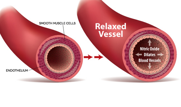 Nitric Oxide